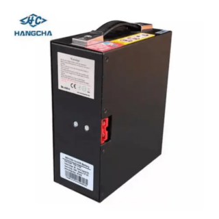 Pin Lithium 48V15Ah dùng cho xe nâng tay điện WS